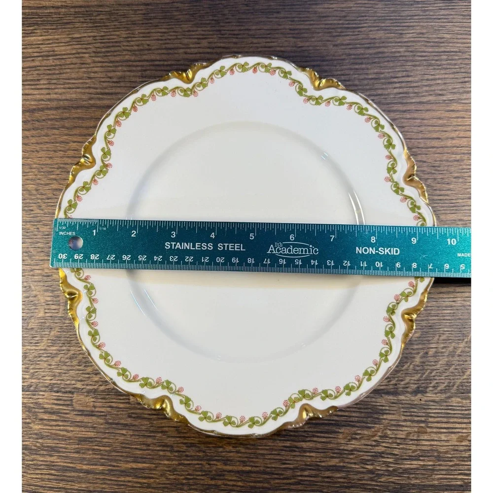 Rare Haviland‎ Limoges Collector Plate 9.5